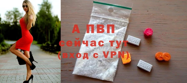 гашик Белокуриха