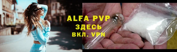 гашик Белокуриха