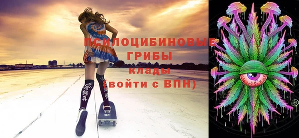 гашик Белокуриха
