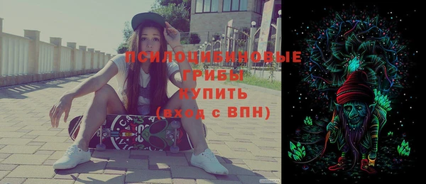 гашик Белокуриха