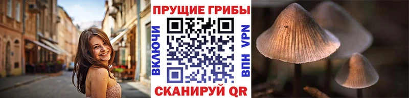 Галлюциногенные грибы Magic Shrooms  MEGA ССЫЛКА  Воскресенск 